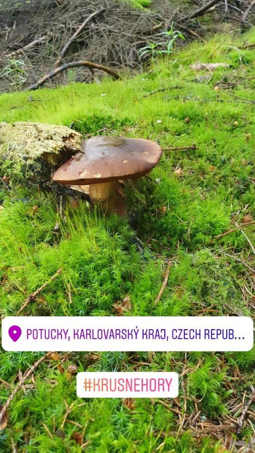 Apartmany Stran Potucky Exterior foto